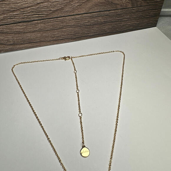 Stella & Dot Blue Stone Horn Shape Pendant Gold Tone Chain Necklace - Picture 14 of 14